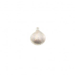 Μεταλλικό κοχύλι 2,5*2cm-6τμχ/sd24