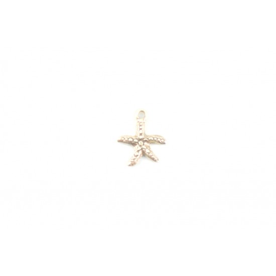 Μεταλλικός αστερίας 2,4*2cm-14τμχ/SD25
