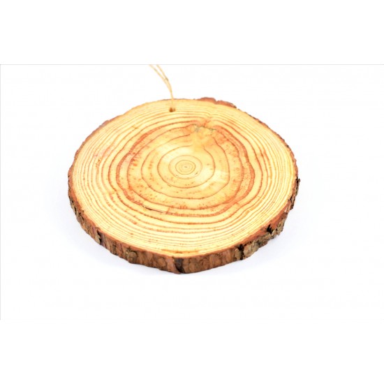 Ξύλινος κορμός 15cm-2τμχ/KS261