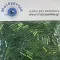 Γυάλινο μακαρόνι  preciosa  λαχανί 7mm 64gr
