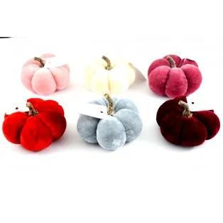 Βελουδινη κολοκυθα 7.5cm mix 24tmx bekα75